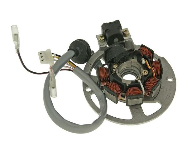 Lichtmaschine Stator Naraku für Roller mit liegendem Minarelli Motor (6739027)